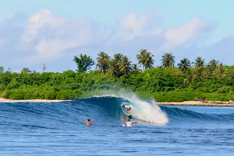 RedNut